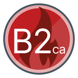 CPR B2ca certified